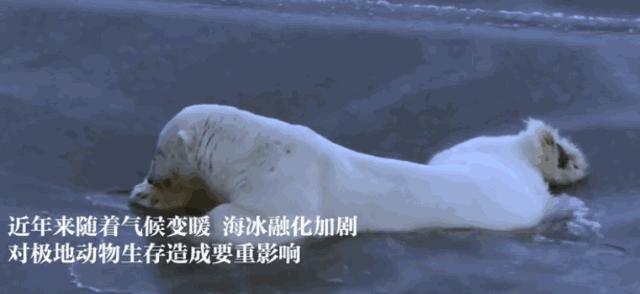 p2p爆雷后投资者钱还拿得回来吗,p2p平台爆雷前有哪些迹象