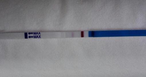 怀孕了第一个月会不会正常来月经,怀孕了还会来月经是正常现象吗