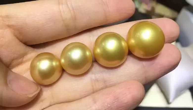 珍珠基础问答,小火说电影全集