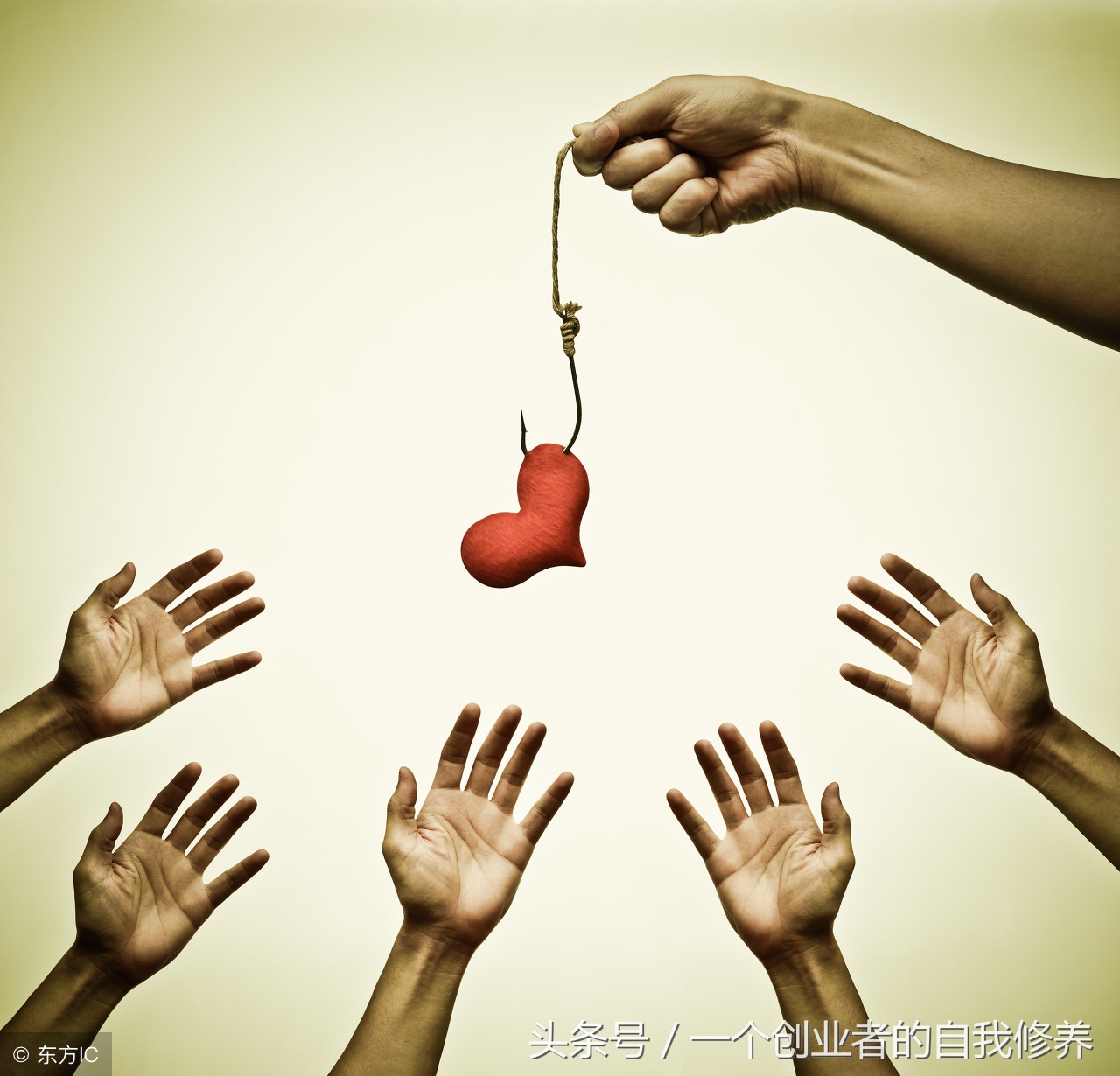 教你如何创业赚钱视频教程,教你怎么创业利润有多少