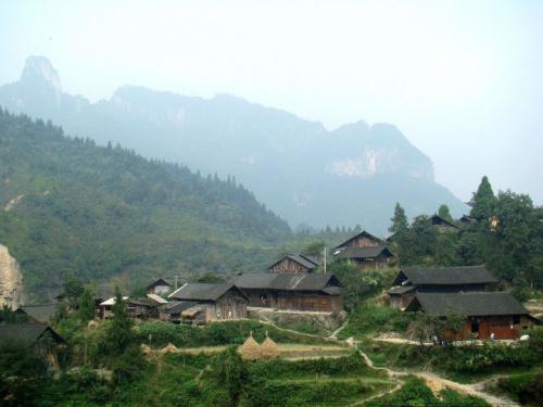 天岛聊吧：俺比呆郞子更懂分享快乐与困难的意义