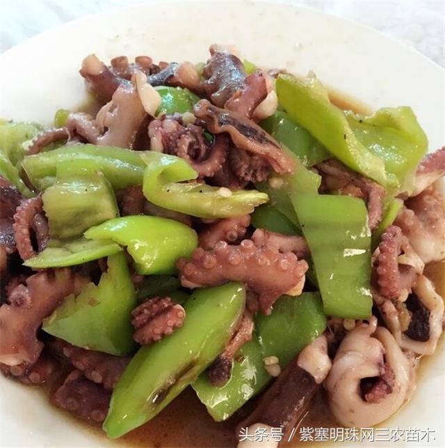 辽宁农家乐旅游攻略,辽宁农家度假村