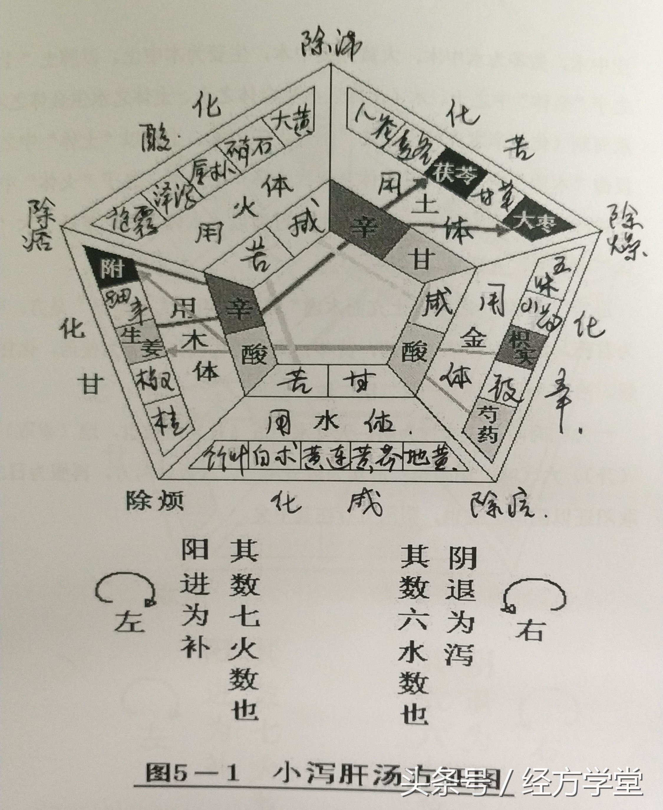辅行诀组方结构图解,辅行诀组方用药规律图