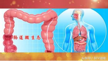 胰腺炎合并电解质紊乱,胰腺紊乱和糖尿病的区别