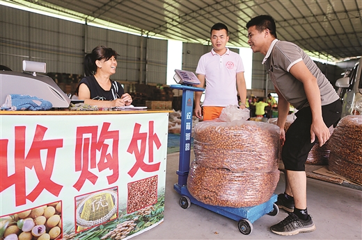 鍦扮悊鏍囧織淇濇姢浜у搧鍗氱櫧妗傚渾,鍗氱櫧鍦扮悊鏍囧織浜у搧妗傚渾