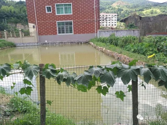 村民养的鱼离奇死亡,村子里的鱼全死了
