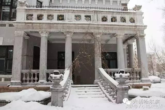 绾㈤湠骞煎効鍥搱灏旀花,鍝堝皵婊ㄧ孩闇炲辜鍎垮洯