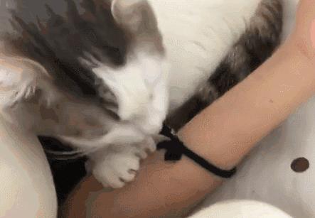 你享受过免费叫醒服务吗,你享受过免费的叫醒服务吗