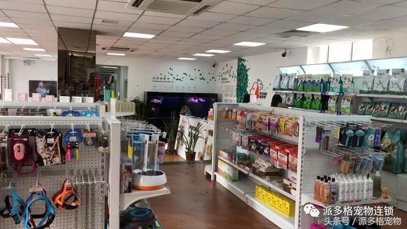派多格宠物美容学校靠谱吗,派多格宠物店怎么开