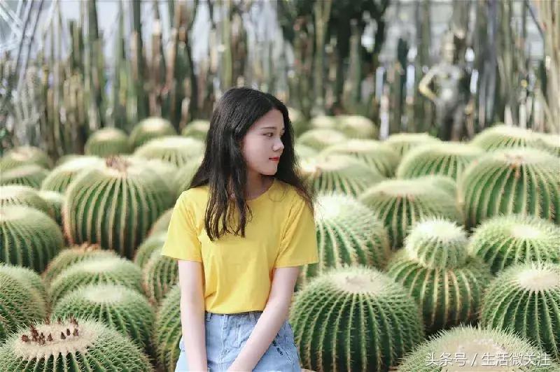 拍照圣地深圳风景,超小众拍照圣地深圳