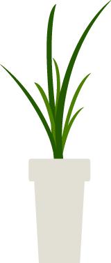 收看此心安处是吾乡专题片简报,观看此心安处是吾乡专题片