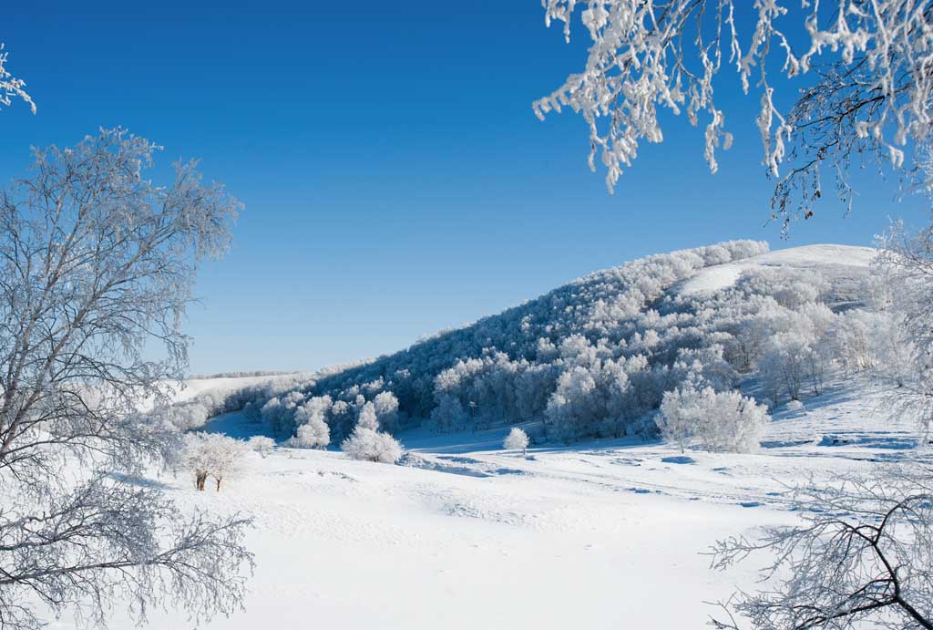 积重难返和根深蒂固区别,积重难返是什么原因