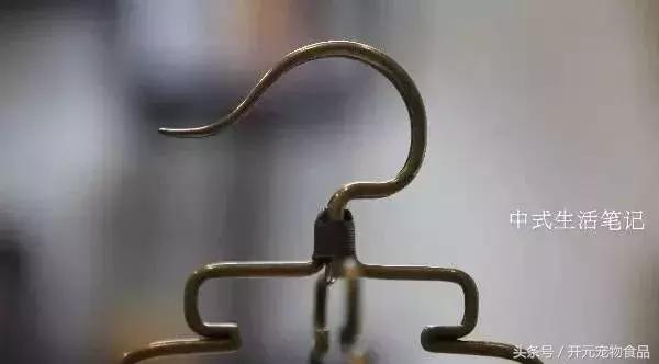 提笼架鸟什么意思,提笼架鸟