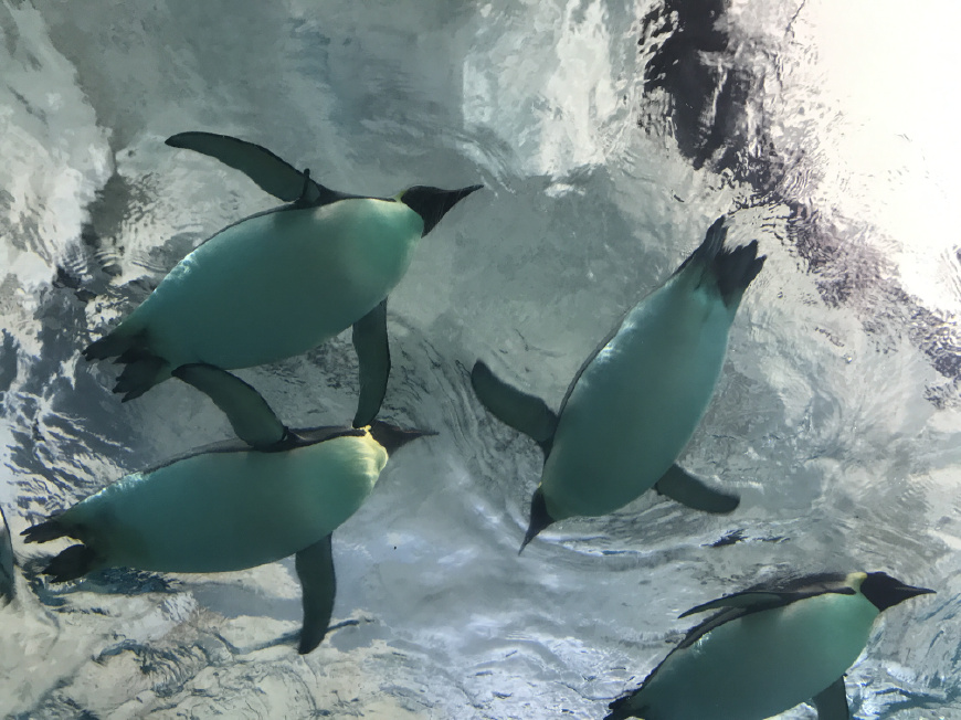 这个夏天带上ta来场浪漫的旅行,带上心爱的ta来一次浪漫之旅