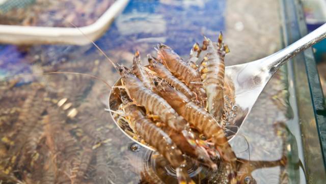 全国十大最好的海鲜自助餐,十大最好的海鲜自助餐