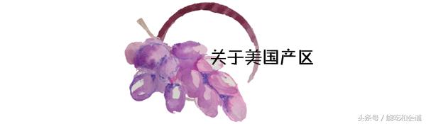 看懂了葡萄酒瓶上的这个细节，买酒绝对不会出错！