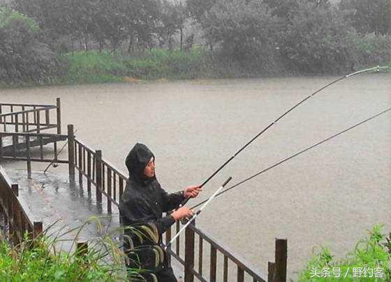 下雨天野钓到底好不好,下雨天野钓鱼钓深还是浅