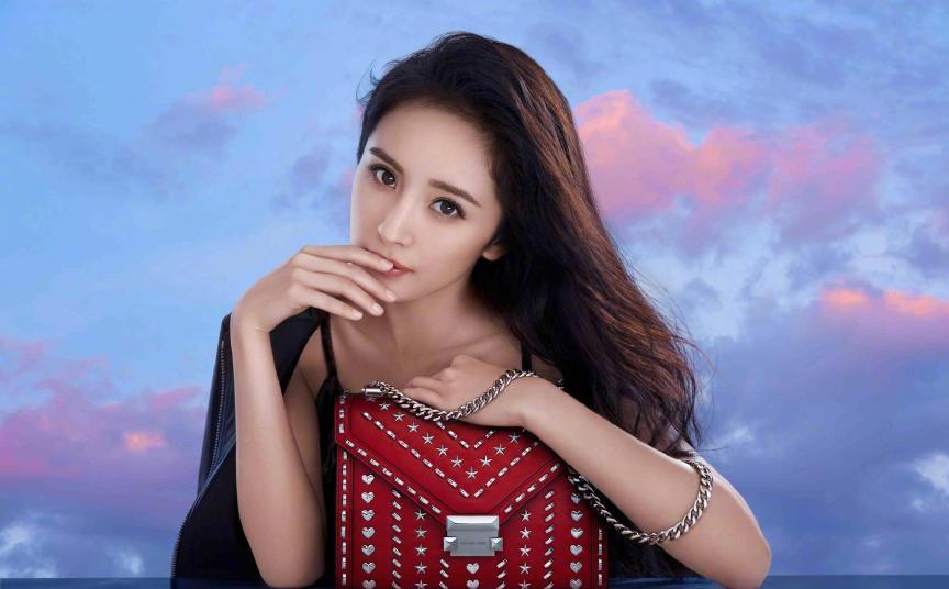 刘雯同款香奈儿包包多少钱,刘雯同款迪桑娜包包