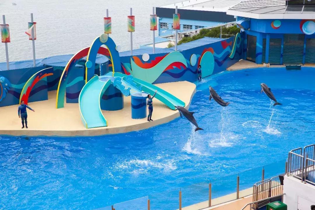 郑州坐高铁去香港票价,郑州坐高铁到香港需要什么流程