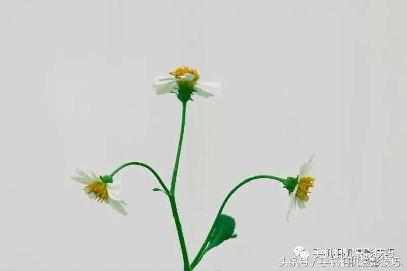 普通人如何拍有意思的视频,生活中可以拍哪些有趣的视频