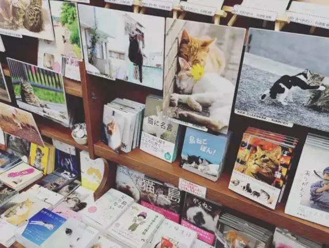 世界第一城东京,世界第一大城东京