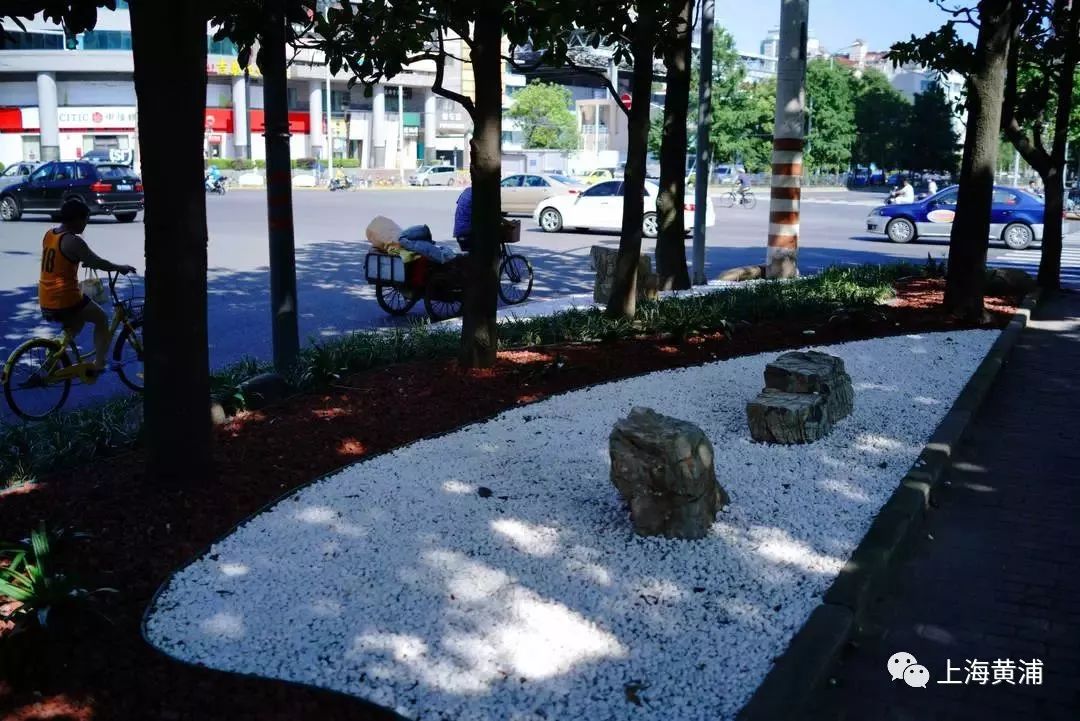 臭水浜变成了林荫道,《从臭水浜到林荫道》小学课文