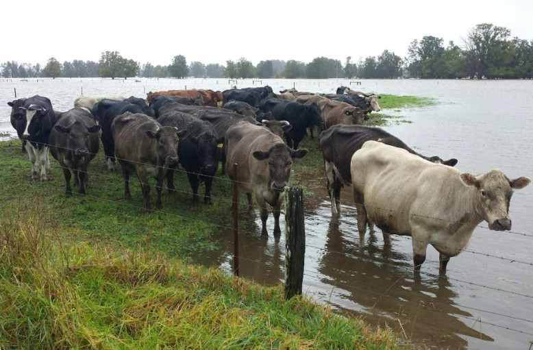 澳洲代购热门产品,澳洲代购奶粉真相