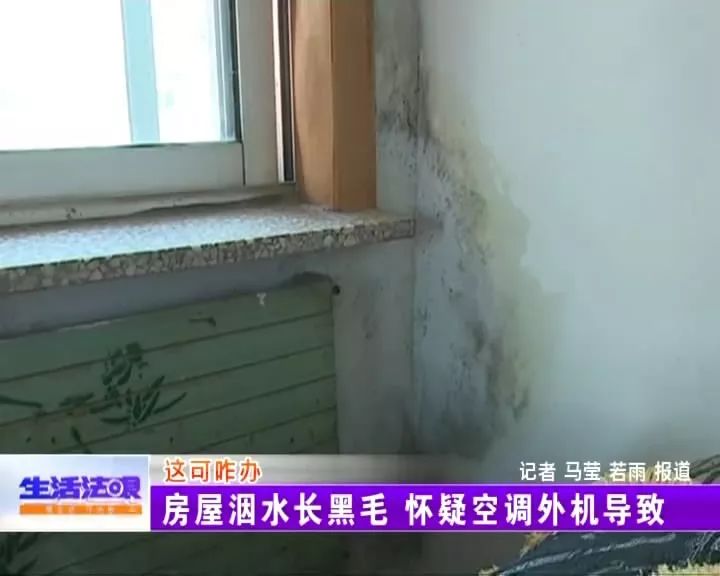 屋里长了白毛是怎么回事,屋里有黑毛是什么原因