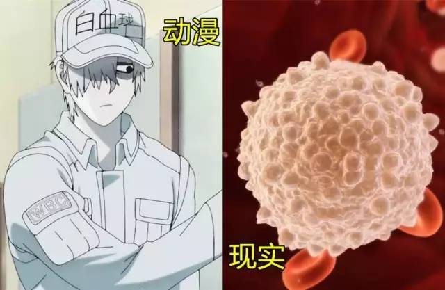 涨姿势动画,涨姿势动漫