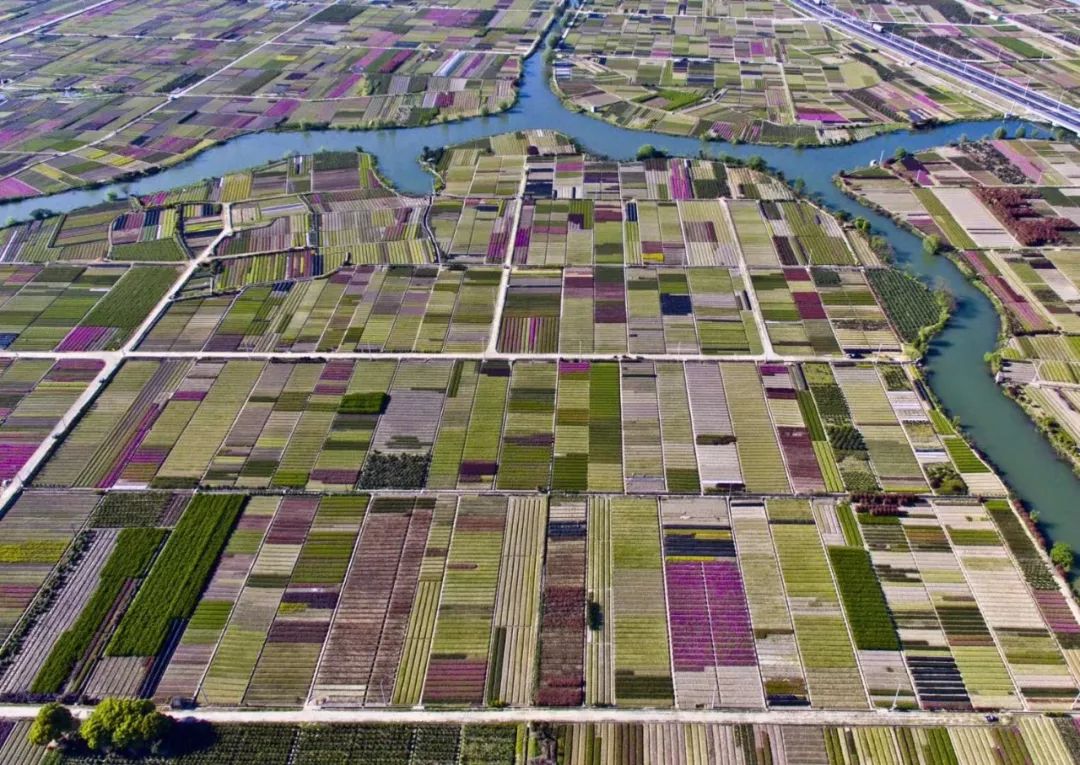 柴桥水芹书记,柴桥街道领导班子