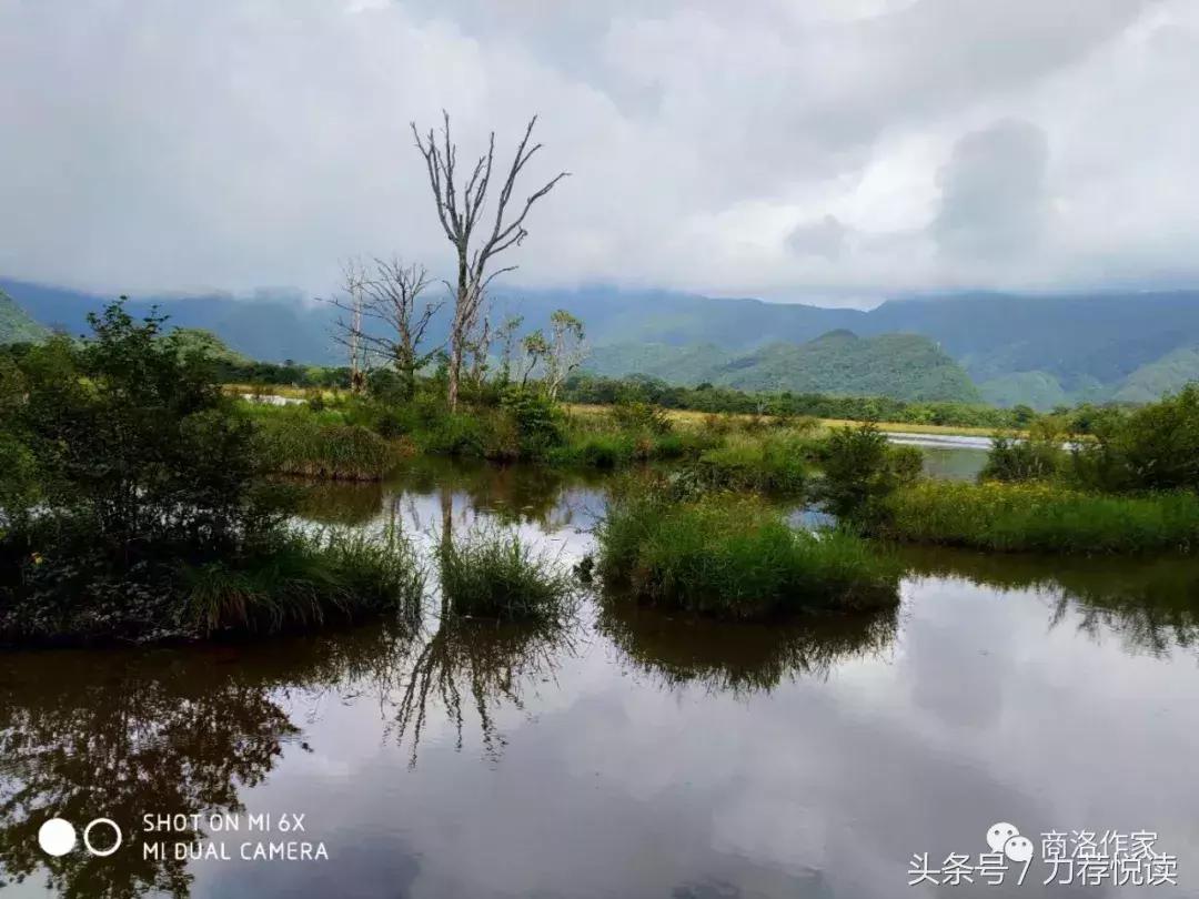 徐博：云中湿地—大九湖