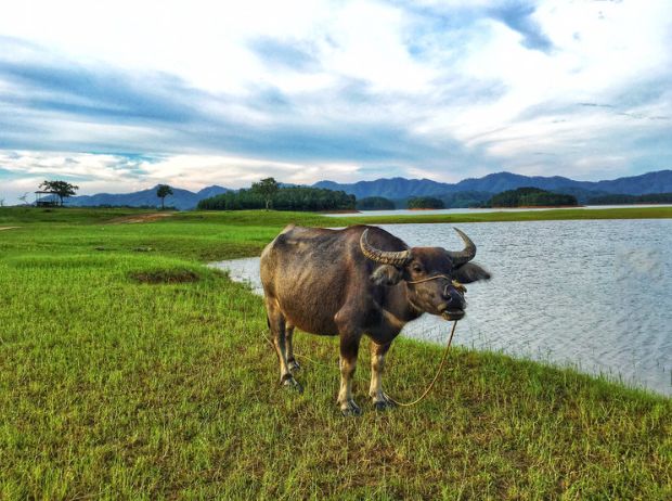 这座高铁直达的小县城，藏着圣托里尼的浪漫，济州岛的清新！
