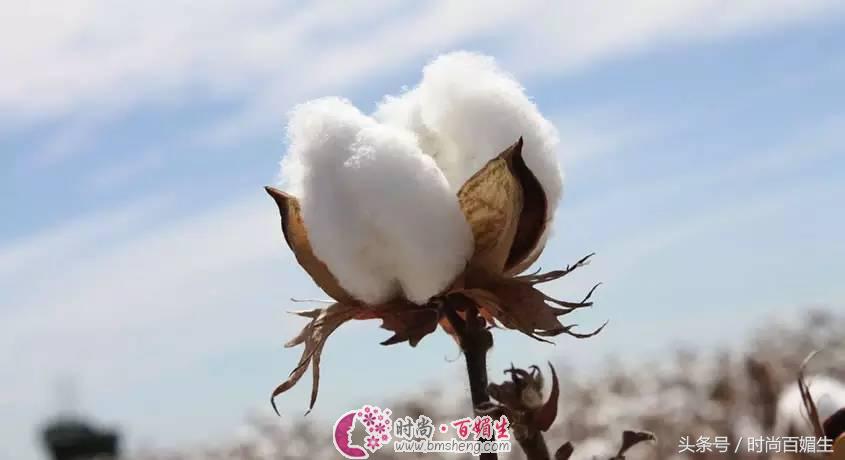 涨知识！“大姨妈巾”的前世今生原来是这样的