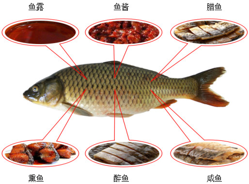 吃了多年的鲤鱼,吃了这么多年鱼就不知道什么味