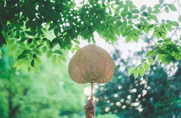 长春最好的避暑旅游城,推荐长春旅游好去处