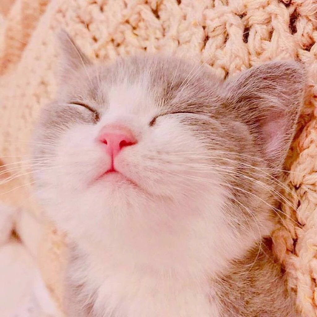 席慕蓉最经典的一首诗,席慕容最经典的4首诗