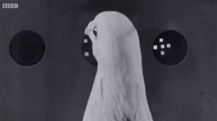 鎵嬫満绛夌數瀛愪骇鍝佺殑鍗卞,鎵嬫満瀵圭數瀛愪骇鍝佺殑鍗卞