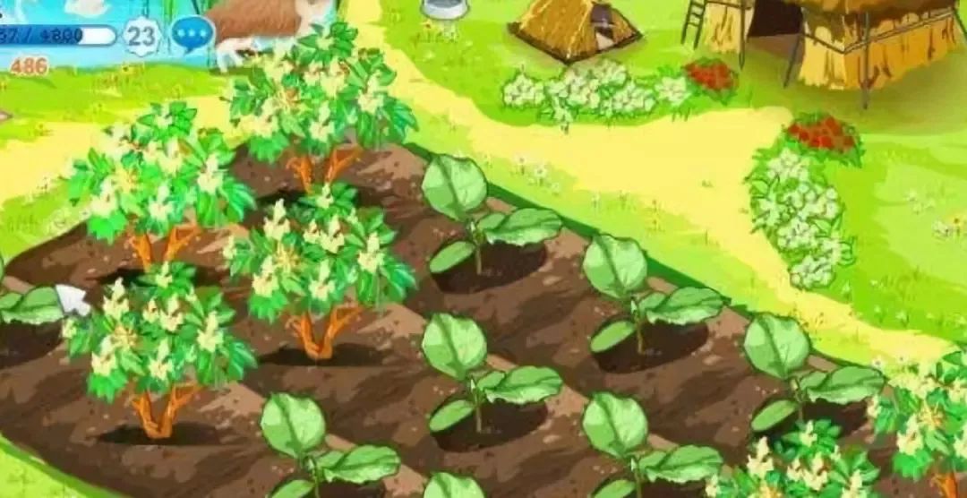 2008年最值得怀念的一年,2008年为什么让我们如此难忘