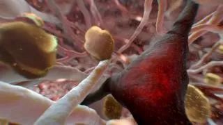 美国学生常用的20个STEM资源，5至13岁以上孩子急需收藏！