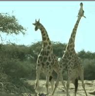 不想结婚的女人越来越多,不想结婚的女人都嫁给了爱情