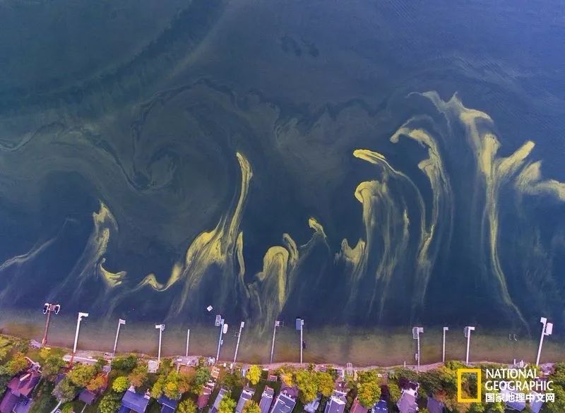 你忙着过七夕,而我用25张图纪念我们共度的这个夏天|夏末特供