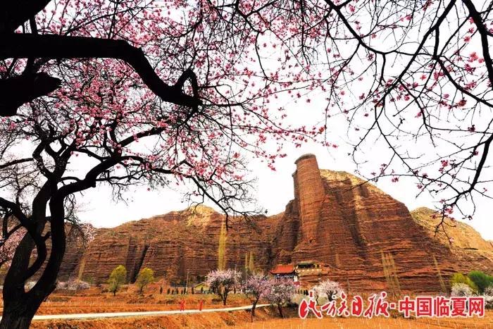 奋进之歌响彻美丽临夏