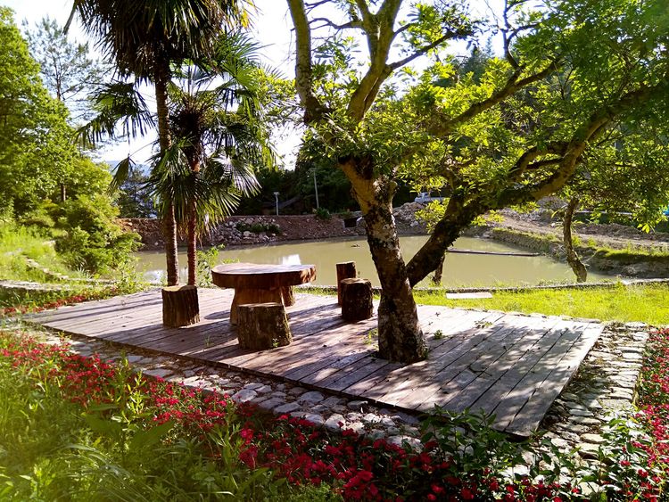 怎样打造爆款民宿,民宿怎么打造网红