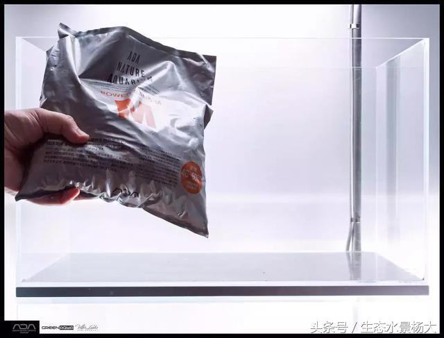 ada草缸造景什么意思,ada造景大赛60缸