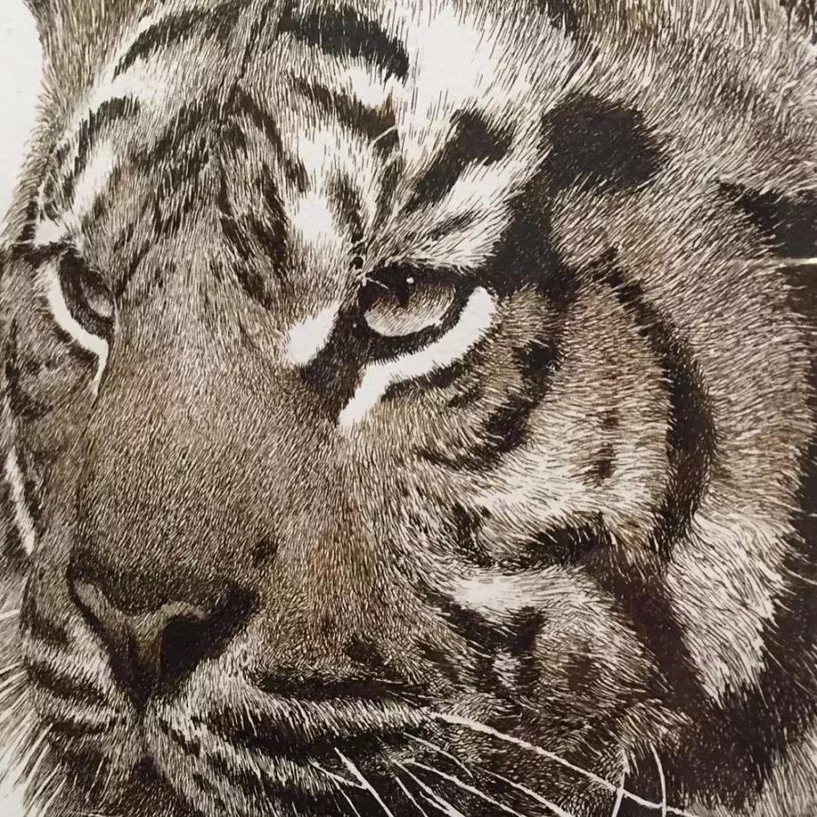 贺峻霖被老师称为抓细节狂魔,贺峻霖为什么被叫扒细节狂魔