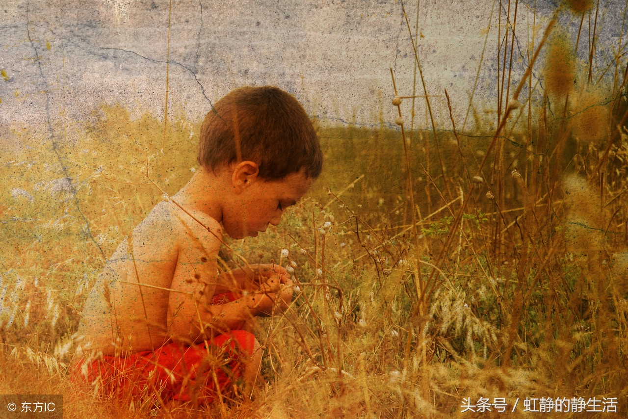 老婆怀孕了但她身体不好怎么办,老婆怀孕了但是彩礼太高