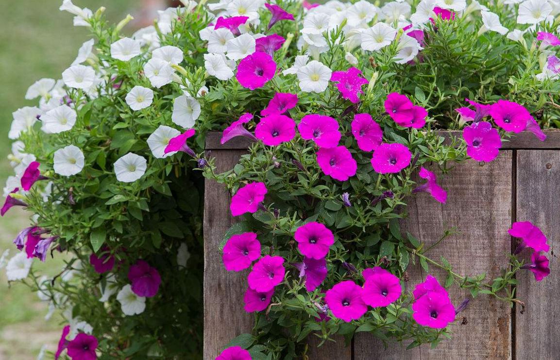 命苦的人要怎么做,走出心灵的低谷感悟