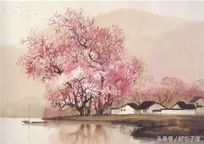 徐志摩经典语录文字,徐志摩的诗歌经典语录