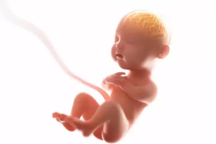 dha怎么选比较好给宝宝吃,dha什么时候吃对宝宝效果才更好