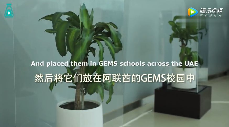 这一回，宜家开始“虐待”植物了！30天3D循环辱骂，活生生把植物给“骂枯”！